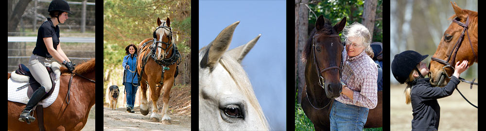 Riding-horses-in-Muskoka